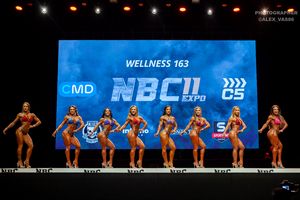 WELLNESS 163